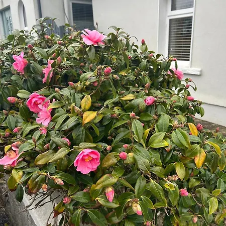 Prázdninový dům Luxury 4 Bedroom In Doolin