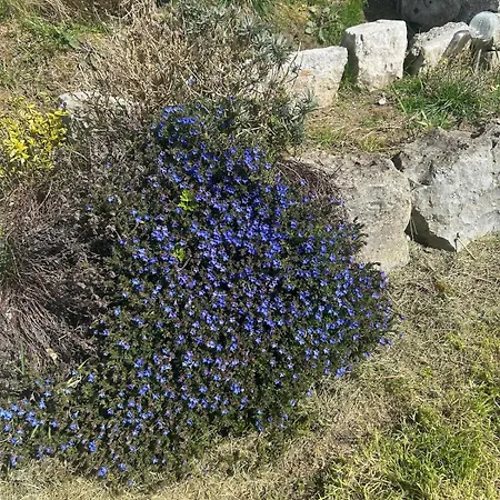 בית נופש Luxury 4 Bedroom In דולין