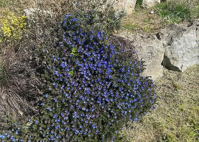 Luxury 4 Bedroom In *