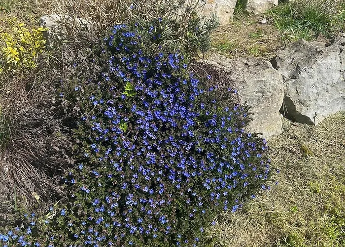 Semesterbostad Luxury 4 Bedroom In Doolin